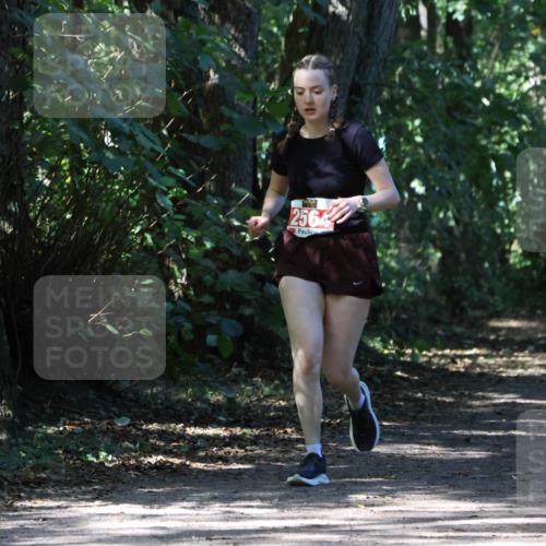 28.09.2025 - 33. Volkslauf durch das schöne Alstertal Strokosch-Dieckow http://msf.ph/oto/8974452 28.09.2025 12:44:44 Laufen 2564 meine-sportfotos.de