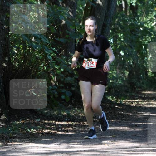 28.09.2025 - 33. Volkslauf durch das schöne Alstertal Strokosch-Dieckow http://msf.ph/oto/8974453 28.09.2025 12:44:44 Laufen 2564 meine-sportfotos.de