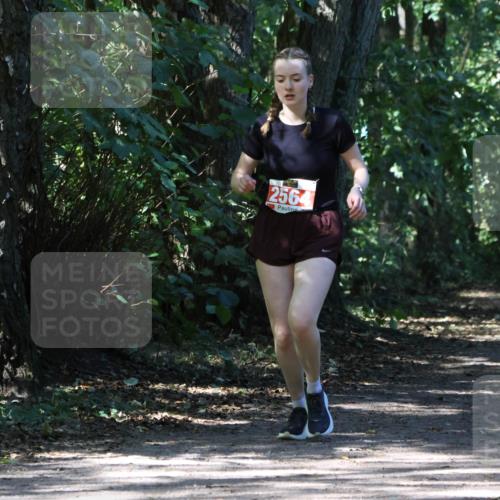 28.09.2025 - 33. Volkslauf durch das schöne Alstertal Strokosch-Dieckow http://msf.ph/oto/8974454 28.09.2025 12:44:44 Laufen 2564 meine-sportfotos.de