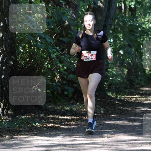 28.09.2025 - 33. Volkslauf durch das schöne Alstertal Strokosch-Dieckow http://msf.ph/oto/8974455 28.09.2025 12:44:44 Laufen 2564 meine-sportfotos.de