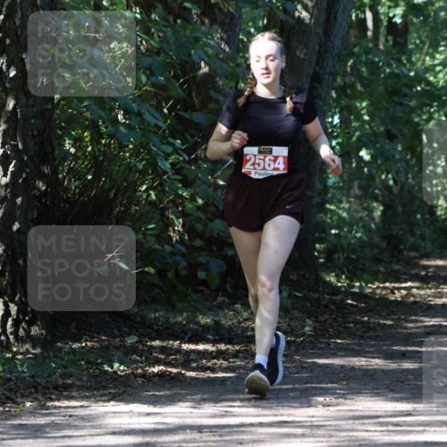 28.09.2025 - 33. Volkslauf durch das schöne Alstertal Strokosch-Dieckow http://msf.ph/oto/8974456 28.09.2025 12:44:44 Laufen 2564 meine-sportfotos.de