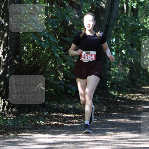 28.09.2025 - 33. Volkslauf durch das schöne Alstertal Strokosch-Dieckow http://msf.ph/oto/8974457 28.09.2025 12:44:44 Laufen 2564 meine-sportfotos.de