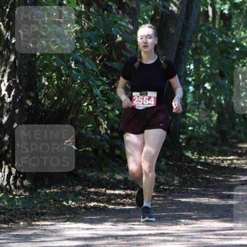 28.09.2025 - 33. Volkslauf durch das schöne Alstertal Strokosch-Dieckow http://msf.ph/oto/8974458 28.09.2025 12:44:44 Laufen 2564 meine-sportfotos.de