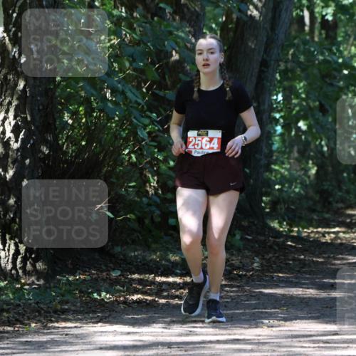 28.09.2025 - 33. Volkslauf durch das schöne Alstertal Strokosch-Dieckow http://msf.ph/oto/8974459 28.09.2025 12:44:44 Laufen 2564 meine-sportfotos.de