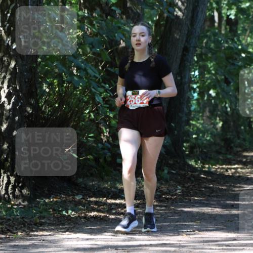 28.09.2025 - 33. Volkslauf durch das schöne Alstertal Strokosch-Dieckow http://msf.ph/oto/8974460 28.09.2025 12:44:44 Laufen 2564 meine-sportfotos.de