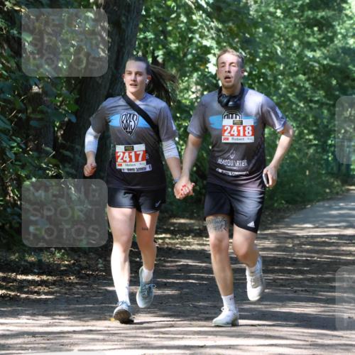 28.09.2025 - 33. Volkslauf durch das schöne Alstertal Strokosch-Dieckow http://msf.ph/oto/8974463 28.09.2025 12:44:57 Laufen 2418, 2417, 444 meine-sportfotos.de