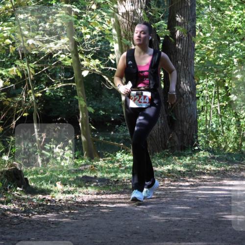 28.09.2025 - 33. Volkslauf durch das schöne Alstertal Strokosch-Dieckow http://msf.ph/oto/8974476 28.09.2025 12:45:25 Laufen 2244 meine-sportfotos.de