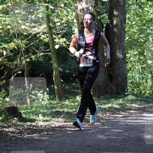 28.09.2025 - 33. Volkslauf durch das schöne Alstertal Strokosch-Dieckow http://msf.ph/oto/8974477 28.09.2025 12:45:25 Laufen 2244 meine-sportfotos.de