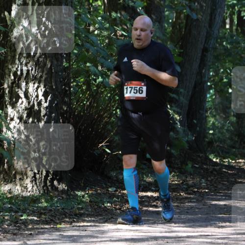 28.09.2025 - 33. Volkslauf durch das schöne Alstertal Strokosch-Dieckow http://msf.ph/oto/8974481 28.09.2025 12:46:06 Laufen 1756 meine-sportfotos.de