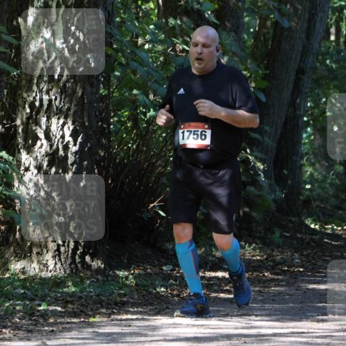 28.09.2025 - 33. Volkslauf durch das schöne Alstertal Strokosch-Dieckow http://msf.ph/oto/8974482 28.09.2025 12:46:06 Laufen 1756 meine-sportfotos.de