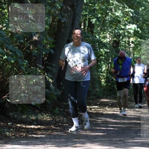 28.09.2025 - 33. Volkslauf durch das schöne Alstertal Strokosch-Dieckow http://msf.ph/oto/8974486 28.09.2025 12:46:22 Laufen 2650, 1761, 2410 meine-sportfotos.de