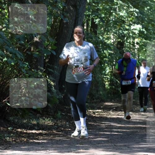 28.09.2025 - 33. Volkslauf durch das schöne Alstertal Strokosch-Dieckow http://msf.ph/oto/8974487 28.09.2025 12:46:23 Laufen 2650, 1761, 2410 meine-sportfotos.de
