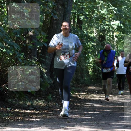 28.09.2025 - 33. Volkslauf durch das schöne Alstertal Strokosch-Dieckow http://msf.ph/oto/8974488 28.09.2025 12:46:23 Laufen 2650, 1761, 2410 meine-sportfotos.de