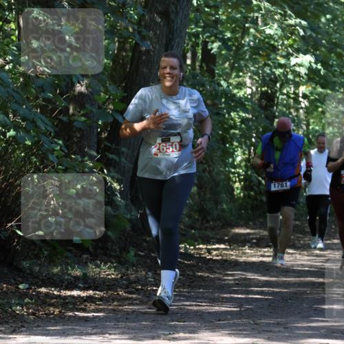 28.09.2025 - 33. Volkslauf durch das schöne Alstertal Strokosch-Dieckow http://msf.ph/oto/8974489 28.09.2025 12:46:23 Laufen 2650, 1761, 2410 meine-sportfotos.de