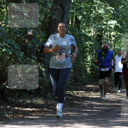 28.09.2025 - 33. Volkslauf durch das schöne Alstertal Strokosch-Dieckow http://msf.ph/oto/8974490 28.09.2025 12:46:23 Laufen 2650, 1761, 2410 meine-sportfotos.de
