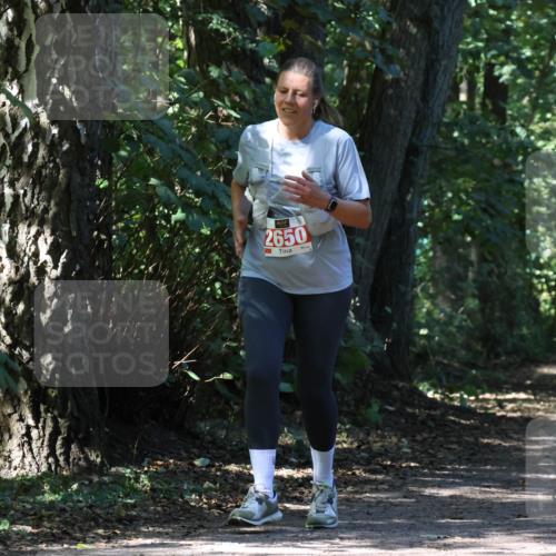 28.09.2025 - 33. Volkslauf durch das schöne Alstertal Strokosch-Dieckow http://msf.ph/oto/8974492 28.09.2025 12:46:24 Laufen 2650, 1761, 2 meine-sportfotos.de