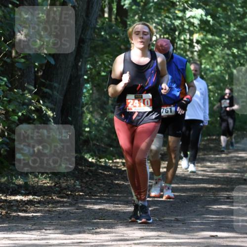 28.09.2025 - 33. Volkslauf durch das schöne Alstertal Strokosch-Dieckow http://msf.ph/oto/8974495 28.09.2025 12:46:27 Laufen 2410, 761 meine-sportfotos.de