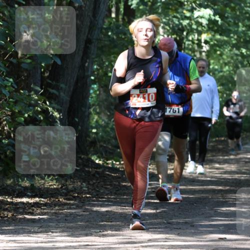 28.09.2025 - 33. Volkslauf durch das schöne Alstertal Strokosch-Dieckow http://msf.ph/oto/8974497 28.09.2025 12:46:27 Laufen 2410, 1761 meine-sportfotos.de