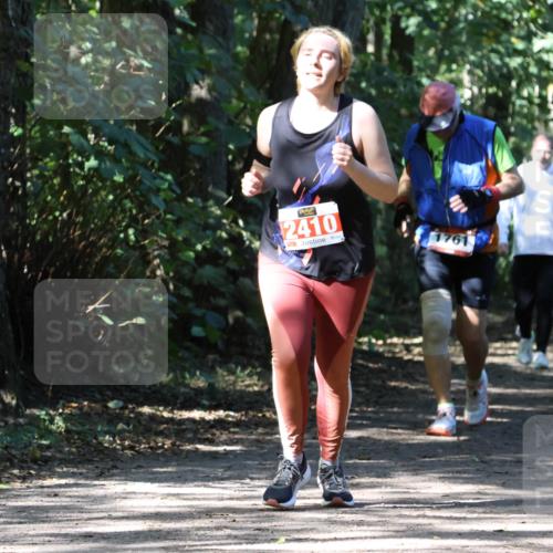 28.09.2025 - 33. Volkslauf durch das schöne Alstertal Strokosch-Dieckow http://msf.ph/oto/8974499 28.09.2025 12:46:28 Laufen 2410 meine-sportfotos.de