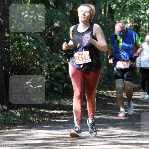 28.09.2025 - 33. Volkslauf durch das schöne Alstertal Strokosch-Dieckow http://msf.ph/oto/8974500 28.09.2025 12:46:28 Laufen 2410, 761 meine-sportfotos.de