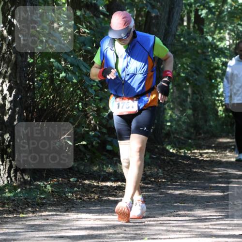 28.09.2025 - 33. Volkslauf durch das schöne Alstertal Strokosch-Dieckow http://msf.ph/oto/8974501 28.09.2025 12:46:31 Laufen 1761 meine-sportfotos.de