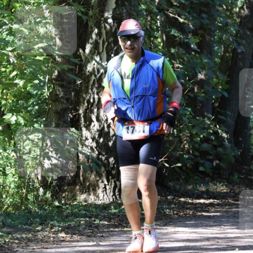 28.09.2025 - 33. Volkslauf durch das schöne Alstertal Strokosch-Dieckow http://msf.ph/oto/8974506 28.09.2025 12:46:32 Laufen 1761 meine-sportfotos.de