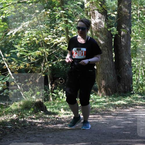 28.09.2025 - 33. Volkslauf durch das schöne Alstertal Strokosch-Dieckow http://msf.ph/oto/8974510 28.09.2025 12:46:46 Laufen 2301 meine-sportfotos.de