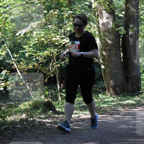 28.09.2025 - 33. Volkslauf durch das schöne Alstertal Strokosch-Dieckow http://msf.ph/oto/8974512 28.09.2025 12:46:47 Laufen 2301 meine-sportfotos.de