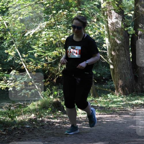 28.09.2025 - 33. Volkslauf durch das schöne Alstertal Strokosch-Dieckow http://msf.ph/oto/8974514 28.09.2025 12:46:47 Laufen 2301 meine-sportfotos.de