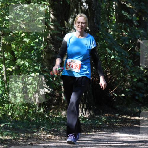 28.09.2025 - 33. Volkslauf durch das schöne Alstertal Strokosch-Dieckow http://msf.ph/oto/8974516 28.09.2025 12:47:31 Laufen 2283 meine-sportfotos.de