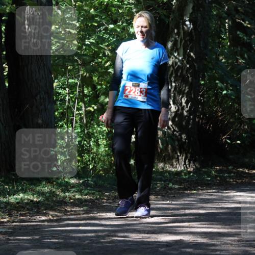 28.09.2025 - 33. Volkslauf durch das schöne Alstertal Strokosch-Dieckow http://msf.ph/oto/8974519 28.09.2025 12:47:32 Laufen 2283 meine-sportfotos.de