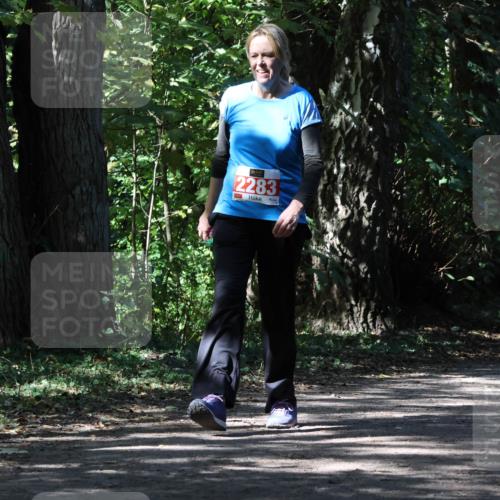 28.09.2025 - 33. Volkslauf durch das schöne Alstertal Strokosch-Dieckow http://msf.ph/oto/8974521 28.09.2025 12:47:32 Laufen 2283 meine-sportfotos.de