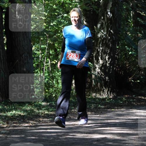 28.09.2025 - 33. Volkslauf durch das schöne Alstertal Strokosch-Dieckow http://msf.ph/oto/8974522 28.09.2025 12:47:32 Laufen 2283 meine-sportfotos.de