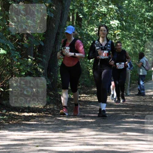28.09.2025 - 33. Volkslauf durch das schöne Alstertal Strokosch-Dieckow http://msf.ph/oto/8974523 28.09.2025 12:48:25 Laufen 350, 2099 meine-sportfotos.de