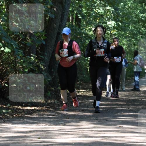 28.09.2025 - 33. Volkslauf durch das schöne Alstertal Strokosch-Dieckow http://msf.ph/oto/8974525 28.09.2025 12:48:25 Laufen 2350, 3, 2099 meine-sportfotos.de