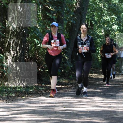 28.09.2025 - 33. Volkslauf durch das schöne Alstertal Strokosch-Dieckow http://msf.ph/oto/8974528 28.09.2025 12:48:27 Laufen 2350, 351, 2099 meine-sportfotos.de