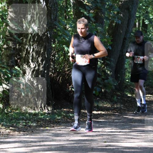 28.09.2025 - 33. Volkslauf durch das schöne Alstertal Strokosch-Dieckow http://msf.ph/oto/8974532 28.09.2025 12:48:31 Laufen 099, 2642, 248 meine-sportfotos.de