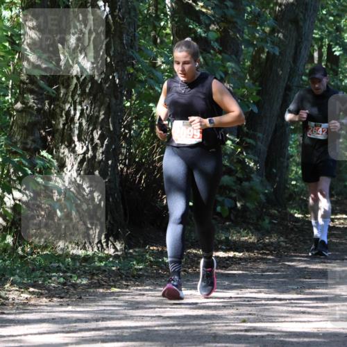 28.09.2025 - 33. Volkslauf durch das schöne Alstertal Strokosch-Dieckow http://msf.ph/oto/8974533 28.09.2025 12:48:31 Laufen 2099, 2642 meine-sportfotos.de