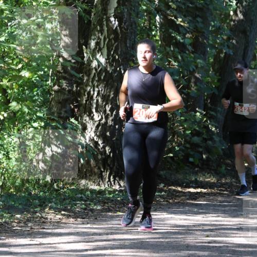28.09.2025 - 33. Volkslauf durch das schöne Alstertal Strokosch-Dieckow http://msf.ph/oto/8974535 28.09.2025 12:48:31 Laufen 20, 2642 meine-sportfotos.de