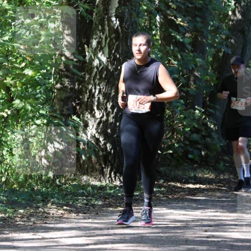 28.09.2025 - 33. Volkslauf durch das schöne Alstertal Strokosch-Dieckow http://msf.ph/oto/8974536 28.09.2025 12:48:31 Laufen 2642 meine-sportfotos.de