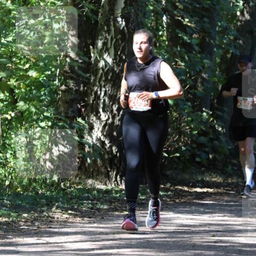 28.09.2025 - 33. Volkslauf durch das schöne Alstertal Strokosch-Dieckow http://msf.ph/oto/8974537 28.09.2025 12:48:32 Laufen 2099 meine-sportfotos.de