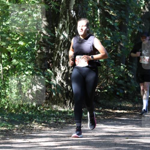 28.09.2025 - 33. Volkslauf durch das schöne Alstertal Strokosch-Dieckow http://msf.ph/oto/8974538 28.09.2025 12:48:32 Laufen 20, 2642 meine-sportfotos.de