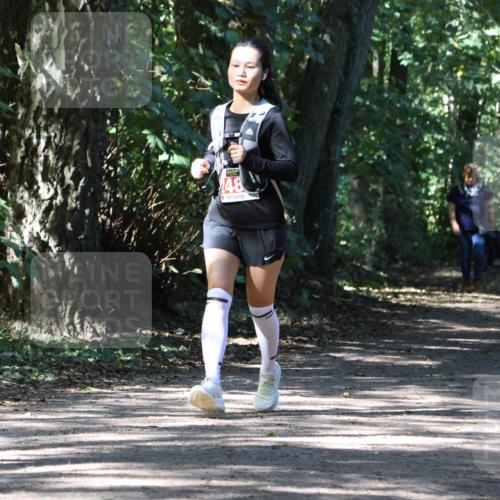28.09.2025 - 33. Volkslauf durch das schöne Alstertal Strokosch-Dieckow http://msf.ph/oto/8974544 28.09.2025 12:48:35 Laufen 48 meine-sportfotos.de