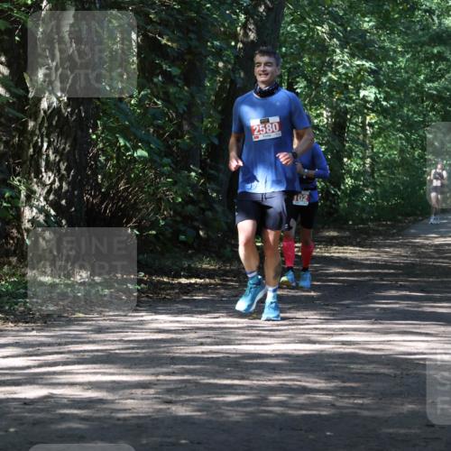 28.09.2025 - 33. Volkslauf durch das schöne Alstertal Strokosch-Dieckow http://msf.ph/oto/8974556 28.09.2025 12:49:13 Laufen 2580, 102 meine-sportfotos.de