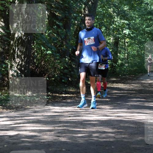 28.09.2025 - 33. Volkslauf durch das schöne Alstertal Strokosch-Dieckow http://msf.ph/oto/8974557 28.09.2025 12:49:13 Laufen 2580, 102 meine-sportfotos.de