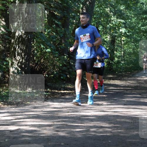 28.09.2025 - 33. Volkslauf durch das schöne Alstertal Strokosch-Dieckow http://msf.ph/oto/8974558 28.09.2025 12:49:13 Laufen 2580, 78 meine-sportfotos.de