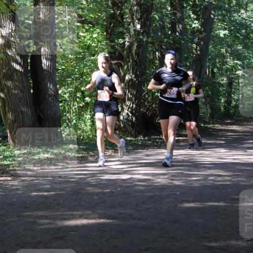 28.09.2025 - 33. Volkslauf durch das schöne Alstertal Strokosch-Dieckow http://msf.ph/oto/8974571 28.09.2025 12:49:32 Laufen 2037, 249 meine-sportfotos.de
