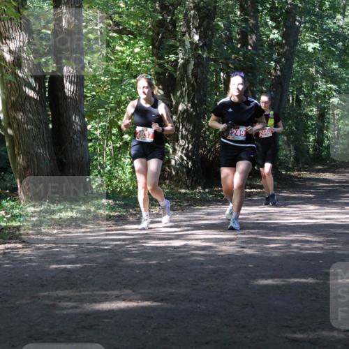 28.09.2025 - 33. Volkslauf durch das schöne Alstertal Strokosch-Dieckow http://msf.ph/oto/8974572 28.09.2025 12:49:32 Laufen 2037, 249, 244 meine-sportfotos.de