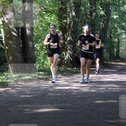 28.09.2025 - 33. Volkslauf durch das schöne Alstertal Strokosch-Dieckow http://msf.ph/oto/8974574 28.09.2025 12:49:33 Laufen 2037, 2249, 2440 meine-sportfotos.de