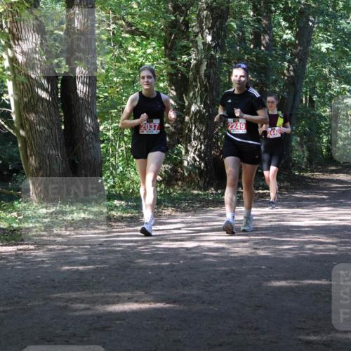 28.09.2025 - 33. Volkslauf durch das schöne Alstertal Strokosch-Dieckow http://msf.ph/oto/8974575 28.09.2025 12:49:33 Laufen 2037, 2249, 2446 meine-sportfotos.de